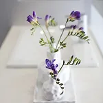 Hotel Masmonzon 4* Монсон