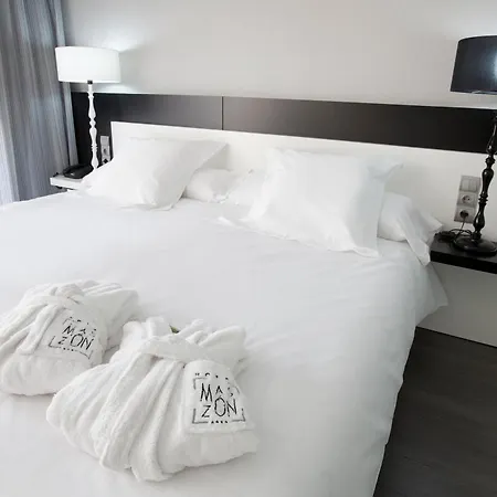 Hotel Masmonzon 4*