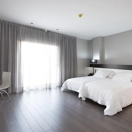 Hotel Hotel Masmonzon 4*