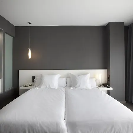 Hotel Hotel Masmonzon 4*