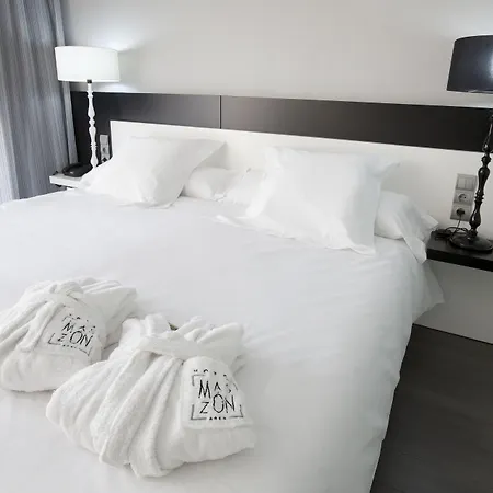 Hotel Masmonzon 4*