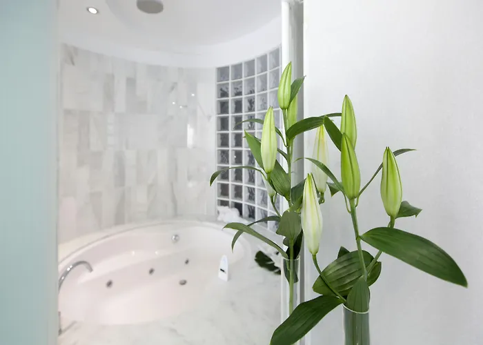 Masmonzon 4* Monzón