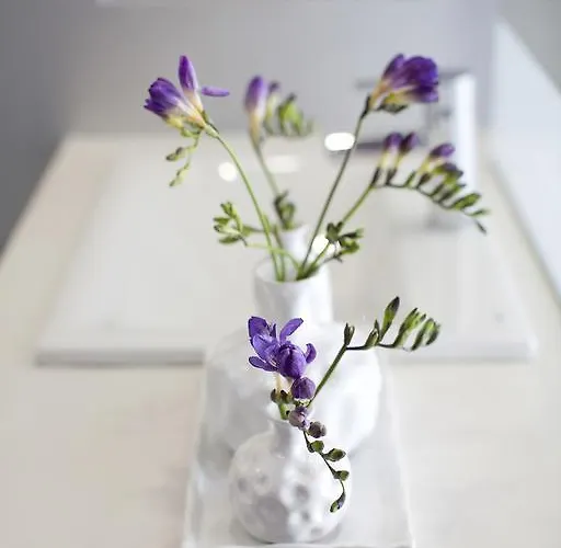 Masmonzon 4* Monzón